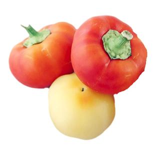 传家宝甜椒种子合集浓郁多汁皮薄高产阳台春秋盆栽食用沙拉可留种