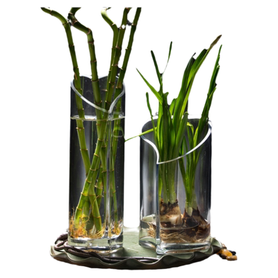 水培植物养花容器绿萝摆件富贵竹