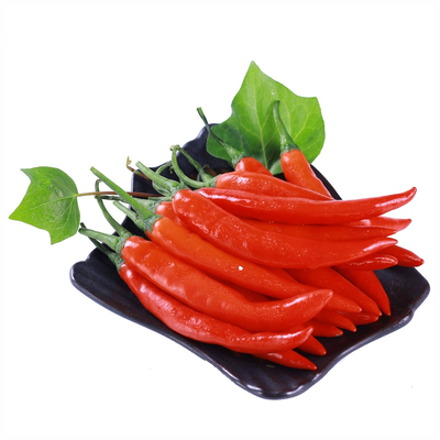 超辣新鲜·美人椒产地直发新鲜