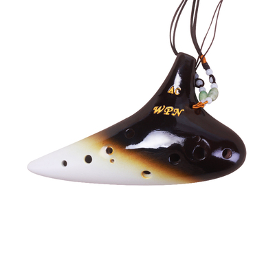 TNG陶笛12孔ac初学入门教材色彩