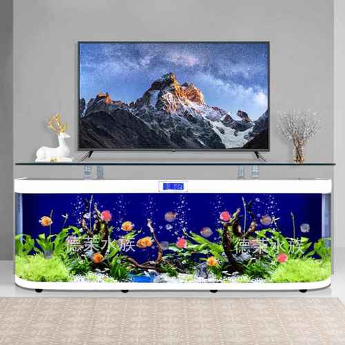 创意玻璃电视柜鱼缸水族箱中大型落地靠墙生态自动循环客厅家用