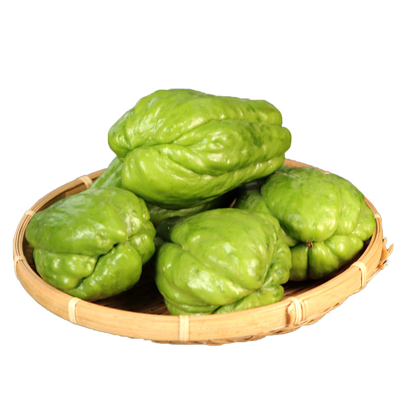 滇鲜生云南当季新鲜现摘包邮到家佛手瓜新鲜蔬菜农家新鲜佛手瓜