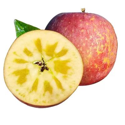 贵州威宁丑苹果5斤整箱