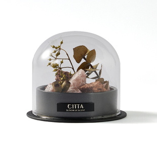 【新年礼物】CITTA西苔玫瑰香薰礼盒扩香石家居摆件生日伴手礼