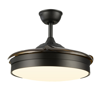 隐形风扇吊灯客厅两用风扇吊灯