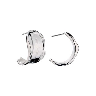 【RED同款】WEALTHYBOO雪痕耳环轻奢小众设计高级感百搭简约潮流