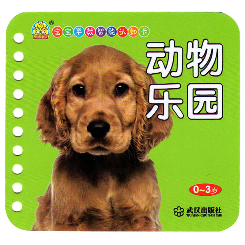 婴儿童玩具早教卡宝宝益智