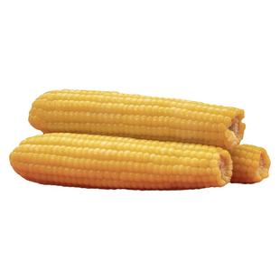 田里有草厂家黄粘糯玉米棒真空袋装非转基因代餐12支早餐家庭