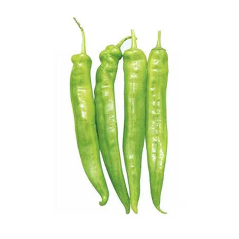现摘新鲜辣椒蔬菜辣椒新鲜