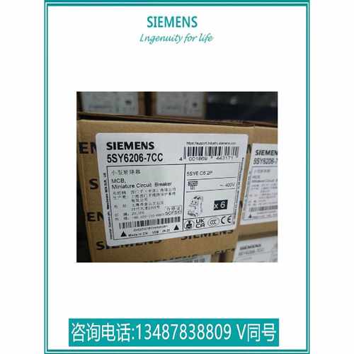 议价5SY62067CC西门子 5SY6微型断路器 C6 2P原装正品 5SY6206-7C