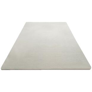 地毯米白色极简风客厅毯加厚地垫主卧床边垫可坐可睡全铺床下脚垫