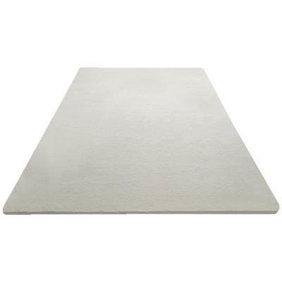 地毯极简风卧室家用客厅毯加厚