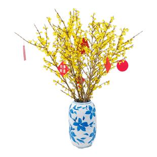 寸寸金鲜枝水培植物连翘干支花卉水生干支花室内桌面鲜切枝条盆栽