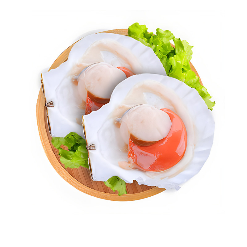 半壳扇贝极速冷冻原汁原味