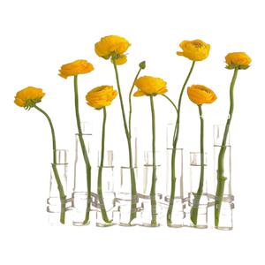 试管折叠玻璃花瓶轻奢高级感水培