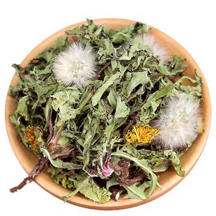 当季新货蒲公英整颗带根自然晒干整株中条山蒲公英婆婆丁新鲜晒干