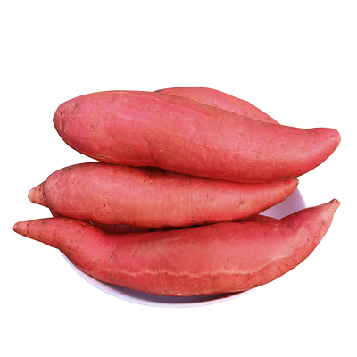 2025年当季正宗山东烟薯25号蜜薯