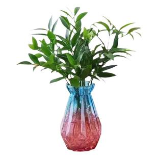 驱蚊神器 四季常青 清香驱蚊竹 易活植物盆栽绿植室内花卉客厅房