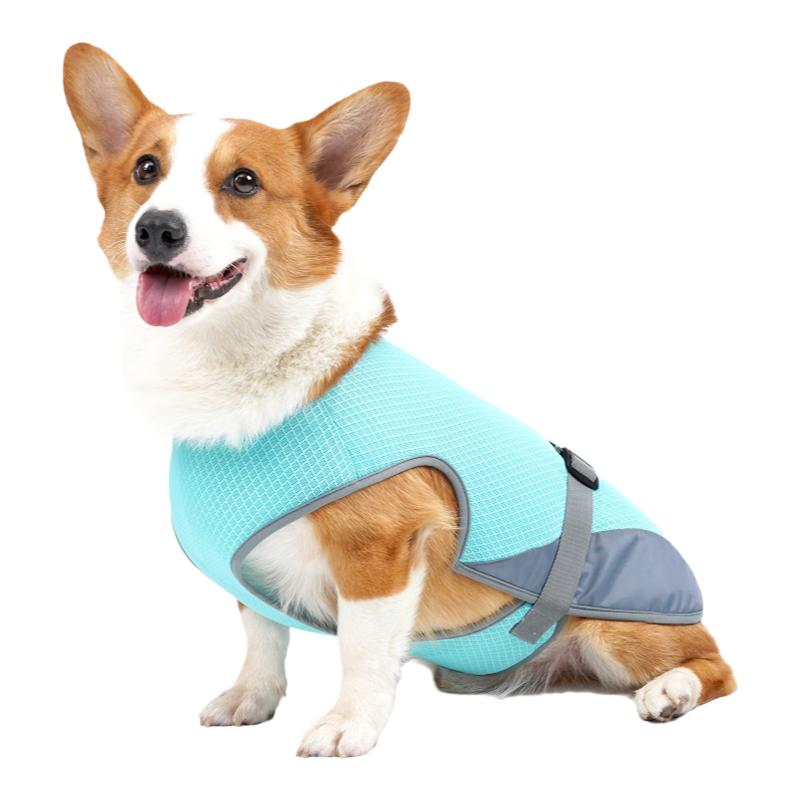 道顿狗狗网布降温凉凉衣小型犬