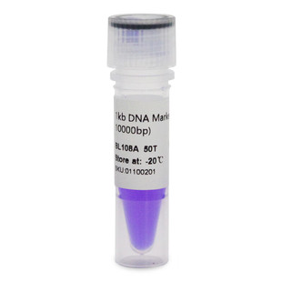 BIOSHARP LIFE SCIENCES 白鲨 BL108A 1kb DNA Marker 分子量标准(1000-10000bp)