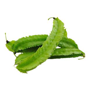 四棱豆种子四棱豆苗海南四角豆特种蔬菜皇帝豆尼龙豆香龙豆种籽孑