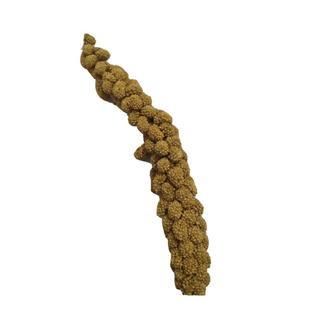 新谷穗谷子穗小米穗黄谷穗天然麦穗鹦鹉仓鼠鼠逗棒包邮鹦鹉食物