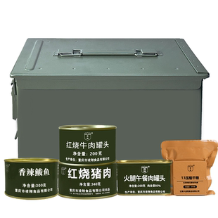 凌翔三防箱家庭防灾应急储备物资箱压缩干粮储备应急食品肉罐头