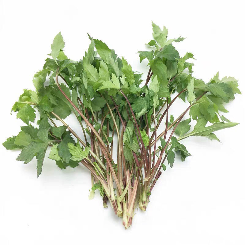 农庄酒楼野菜火锅上汤新鲜珍珠菜