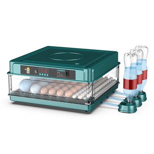 孵蛋器孵化机小型家用全自动智能水床孵化箱芦丁鸡小鸡鸡蛋孵化器