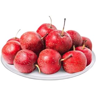 【批发价】新鲜大金星山楂酸甜可口现摘现发鲜果酸甜可口冰糖葫芦