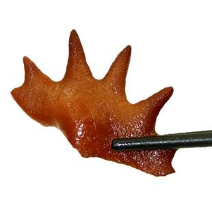 鲜熏鸡冠子下酒菜东北特产熟食即食现熏现发