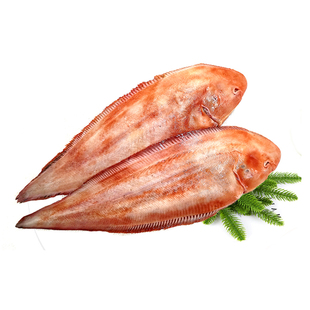 丹东黄海冰鲜真龙利鱼非冷冻大踏板鱼比目鱼偏口鱼鳎目鱼牛舌头鱼