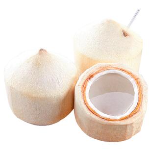 海南椰青新鲜椰子9个装当季孕妇水果椰香皇去皮香水椰子整箱包邮