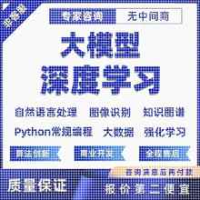 python大模型深度学习/神经网络/算法优化/损失函数/代编程代做