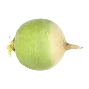 东北农家蔬菜新鲜心里美绿皮红心萝卜农户自种生吃脆甜现拔现卖