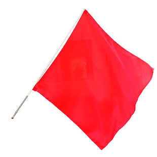 魔术旗棍变旗魔术棒大卫舞台魔术道具铁棒升旗魔术手旗空手出大旗