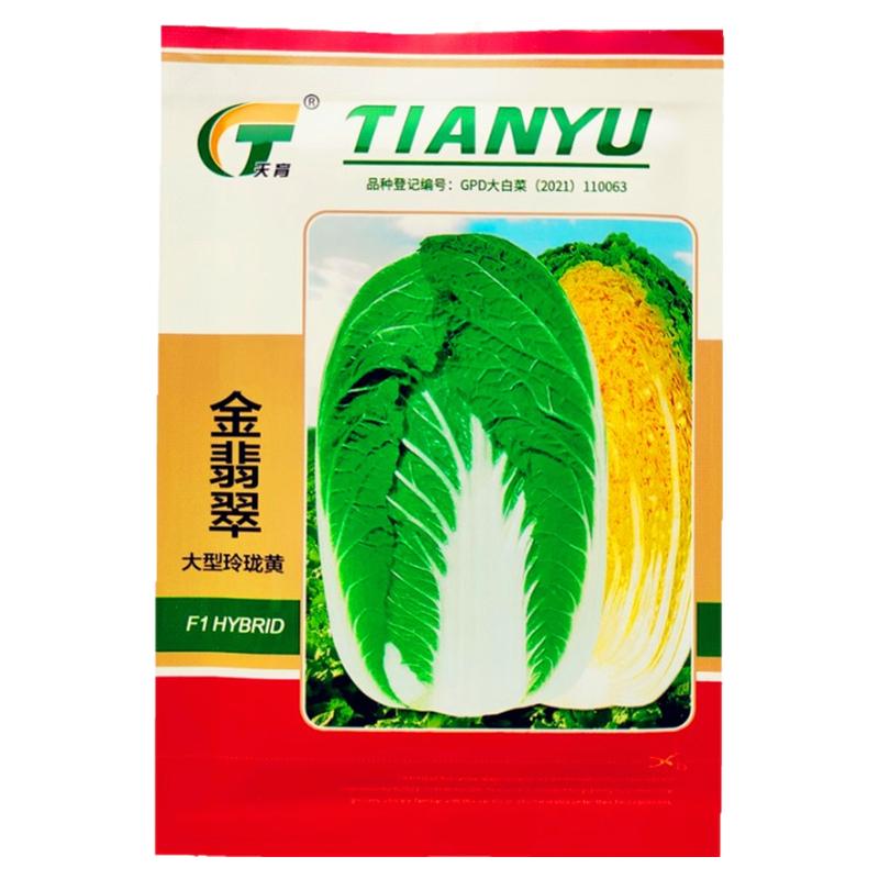大白菜种籽金翡翠黄心大白菜种子