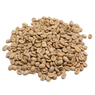 苏门答腊黄金曼特宁湿刨处理咖啡生豆可烘焙新产季精品生豆 500g