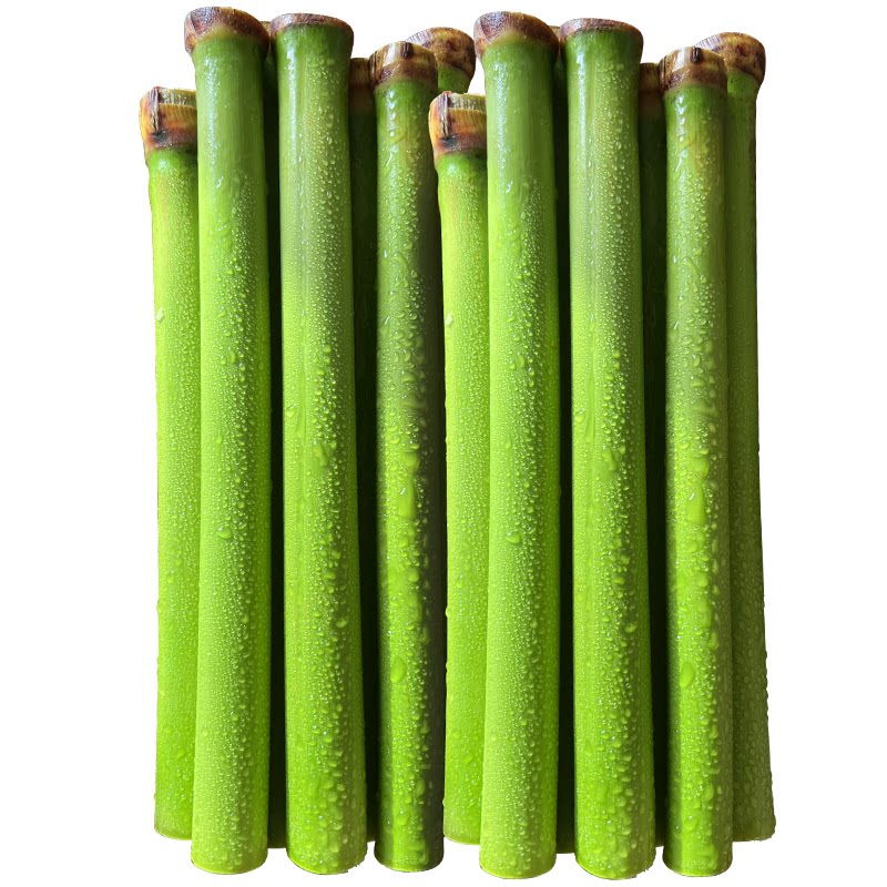 现货甜杆现砍现发 下单顺丰包邮速发新鲜甜杆 甜芦粟卢苏新鲜现货