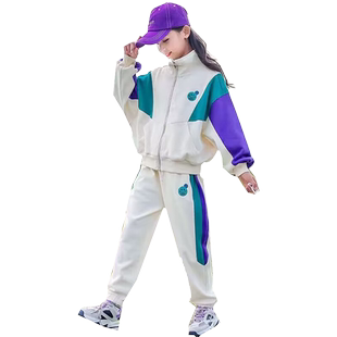 女童运动套装2025春秋装新款宝宝洋气时髦拉链衫外套韩版两件套