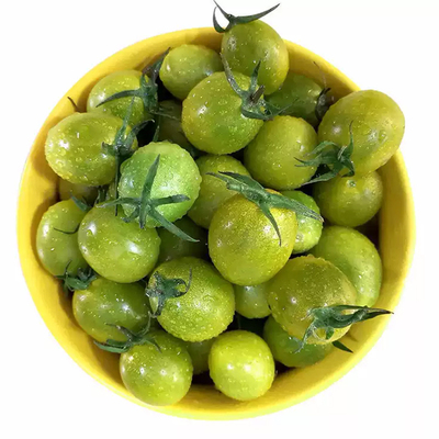 【胡鲜森】山东清甜2号小番茄圣女果青色绿色小柿子现摘整箱