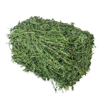 新鲜头茬苜蓿草【不吃包退】