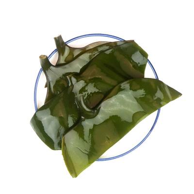 厚脆糯盐少火锅食材海带头厚新鲜