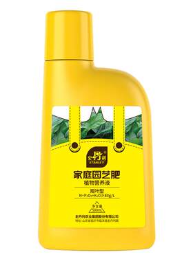 竹芋植物肥料青苹果彩叶油画