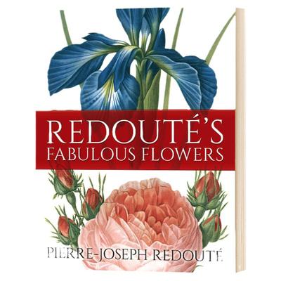 正版 Complete Book of Art Ideas 绘画小点子 完整版