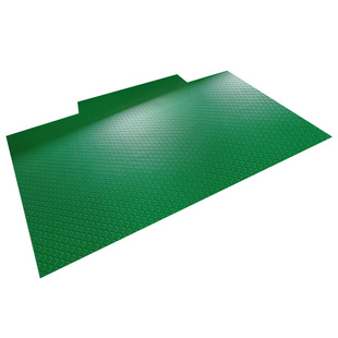 绿色地垫pvc家用超薄1mm入户门垫室内门口防滑垫光面防水可擦地毯