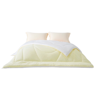 TEVEL/堂皇家纺春秋被子冬被加厚抗菌保暖被芯空调被芝士能量被