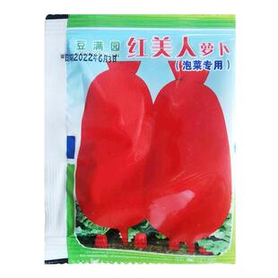 红美人萝卜种子白心红皮萝卜种籽四季播阳台盆栽蔬菜种孑