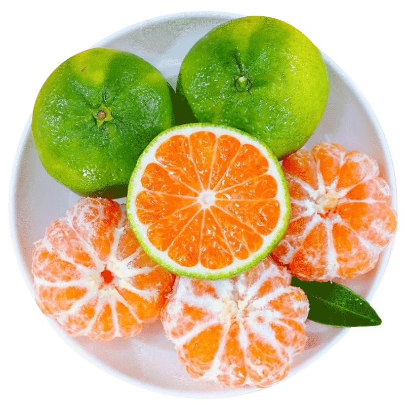 寻乌蜜桔3斤新鲜头茬顺丰次日达
