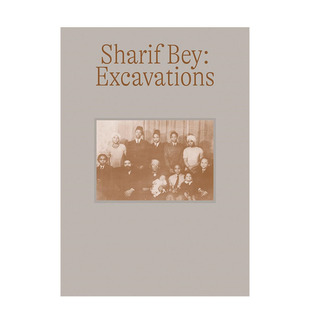 【预售】英文原版 艺术家Sharif Bey：挖掘 Sharif Bey: Excavations 当代艺术画册 正版进口书籍 善优图书
